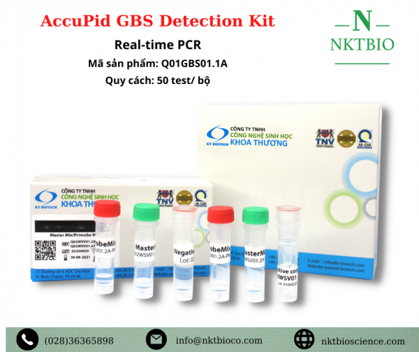 AccuPid GBS Detection Kit