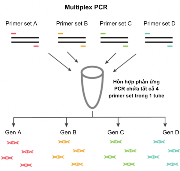 Chẩn đoán các tác nhân nhiễm trùng hô hấp bằng kỹ thuật Multiplex Real ...