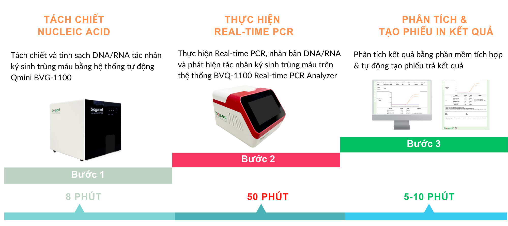 Quy trình thực hiện xét nghiệm Real-time PCR ký sinh trùng máu