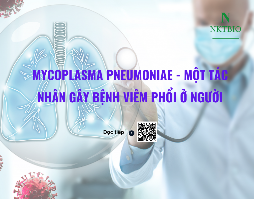 Mycoplasma pneumoniae - Một tác nhân gây bệnh viêm phổi ở người