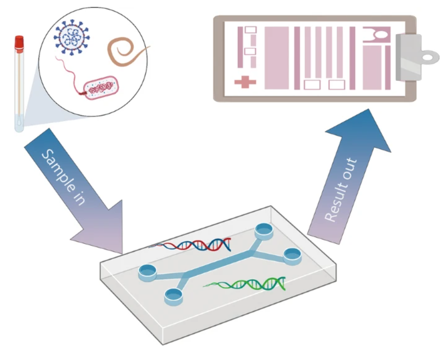 Sơ đồ nguyên lý kỹ thuật xét nghiệm sinh học phân tử dựa trên Microfluidics